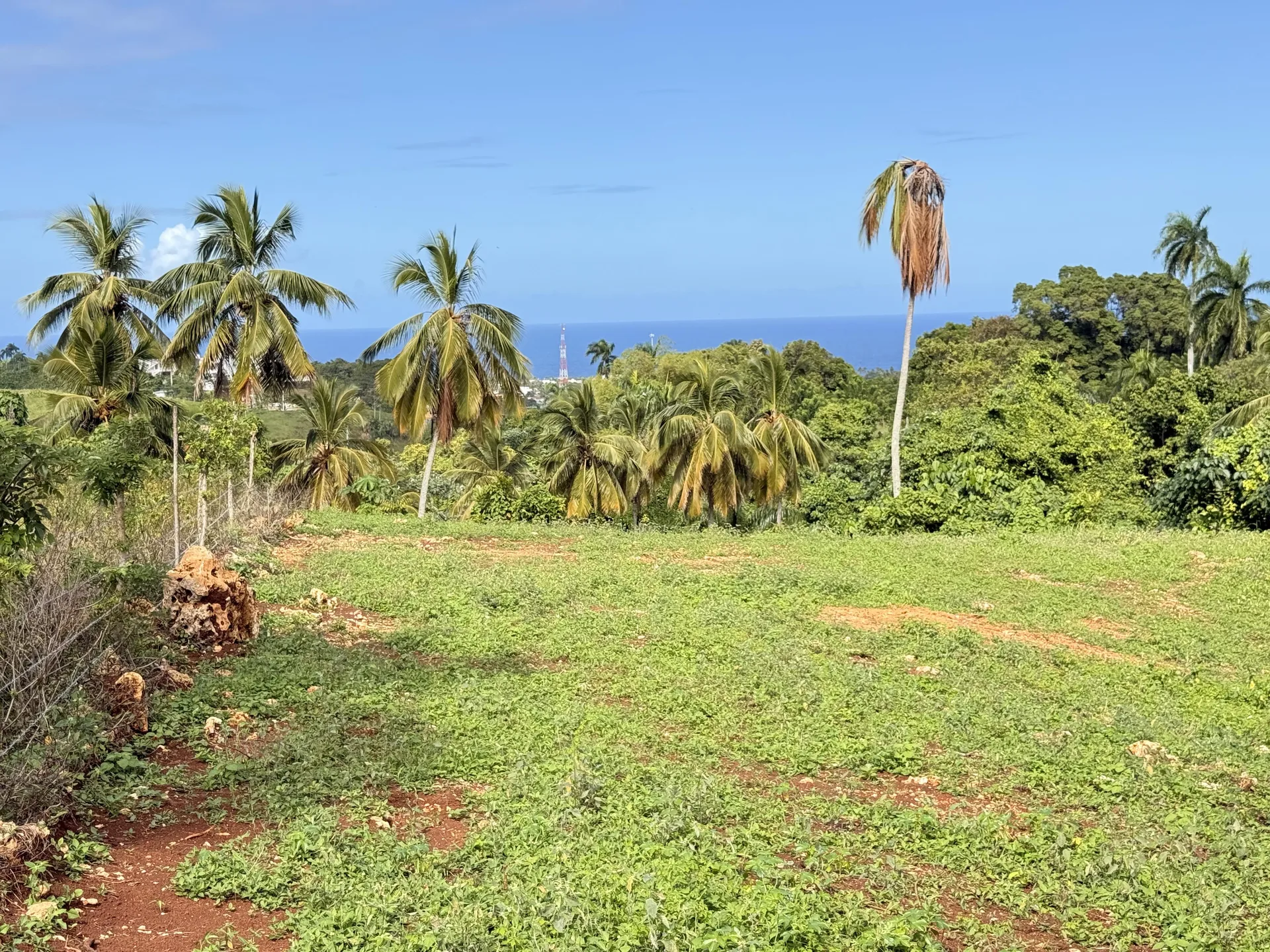 Ocean View Lots in Los Valles, Cabrera from US$65/m²