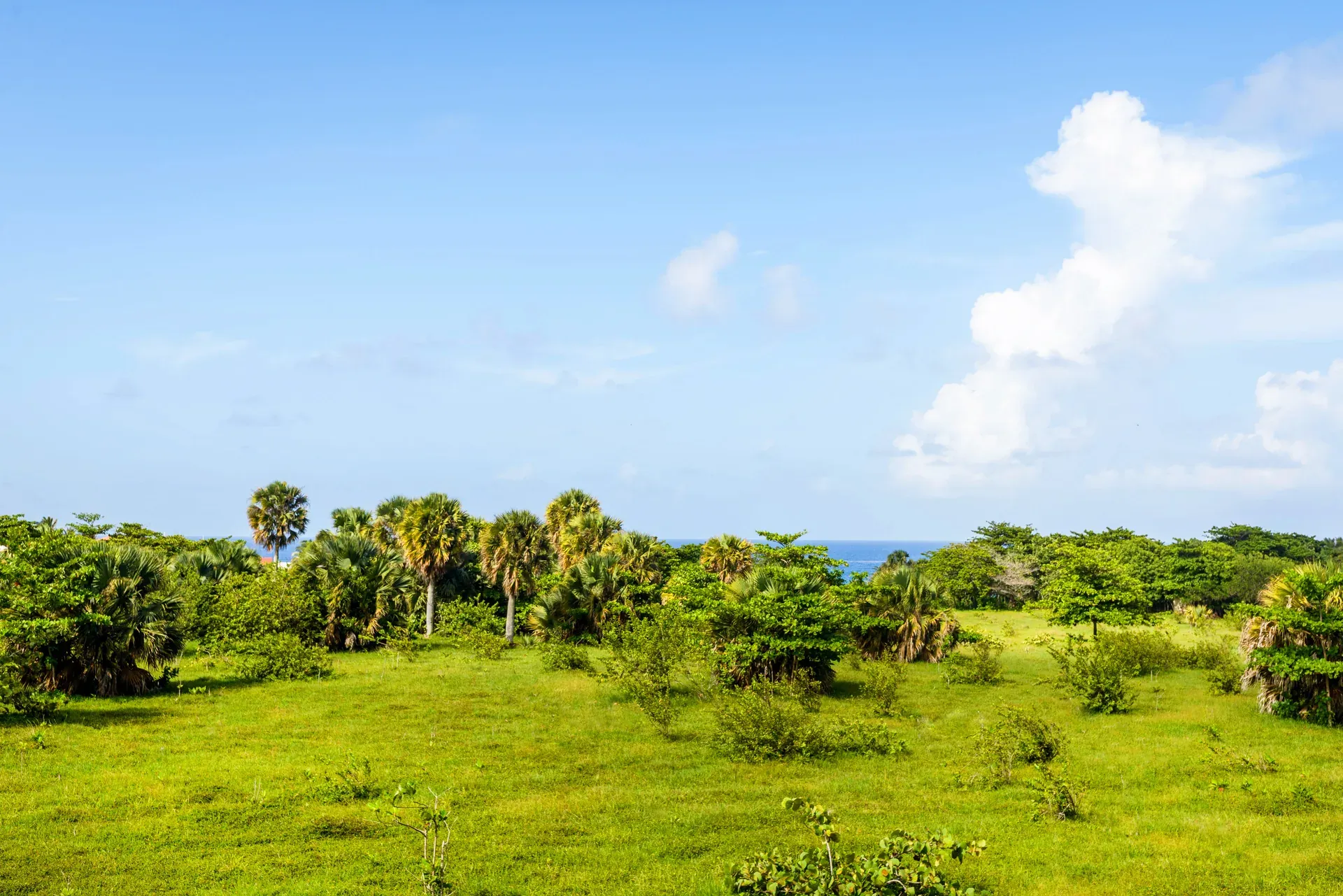 Swell House con piscina y gazebo  miniatura 18
